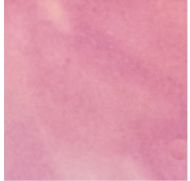 #43041-Fuse Master EZ Fire Light Purple 1oz. EZ307