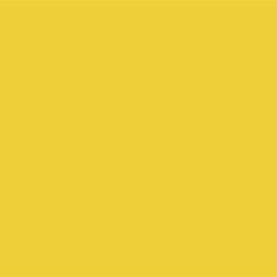 #43121-Lead Free Fuse Master Low Fire Paint Mango