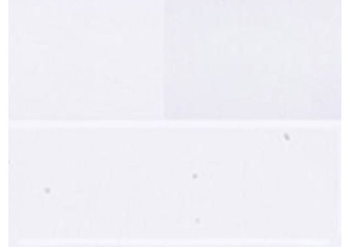 BU110130F-Clear Double Rolled 20" x 34"