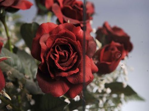 CG113-Restover Clear (Lite Distortion)