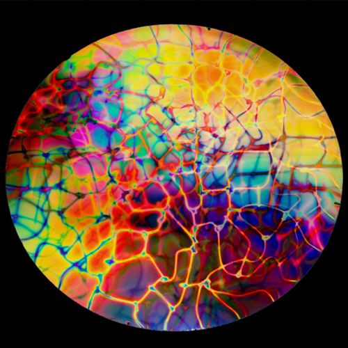 DC892C-CBS Thin Dichroic Mixture On Black Reptilian 4"x4.75"- 90 COE