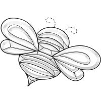Click to enlarge