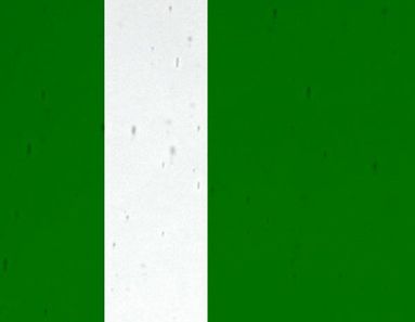 FL534-Lamberts Dark Green On Clear Flashed