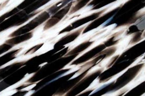 SF4001-96 Clear/Ivory/Black