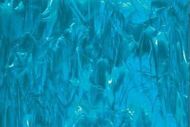 SF83393- 96 Deep Aqua/White Wispy