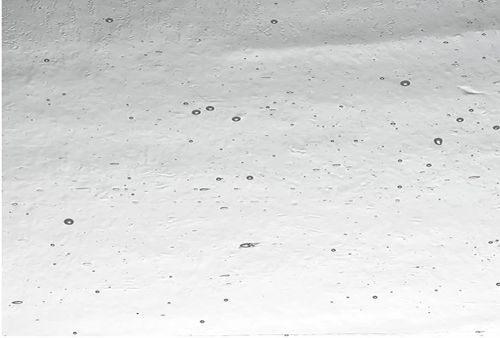 W1007-Clear Seedy #01S