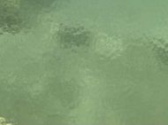 W1030-Pl.Green Trans.#309