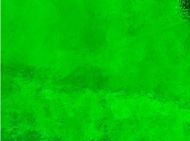 W1032-Dk.Green Trans. #343