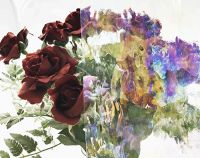 Нажмите для увеличения