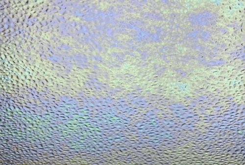 W1185-Iridized Clear Dew Drop