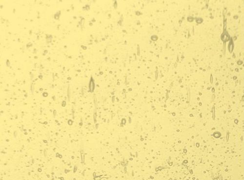 W1206-Very Pale Amber Seedy Trans.#0002S