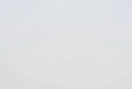 WF2020- 2mm Thin White Opal 96