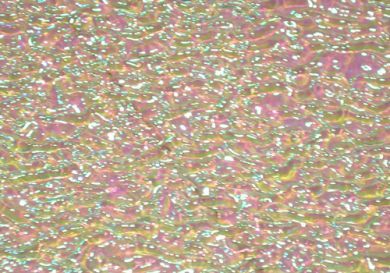 DC815B-CBS Dichroic Pink/ Emerald Green On Clear Ripple 8"x9"  - 90 COE