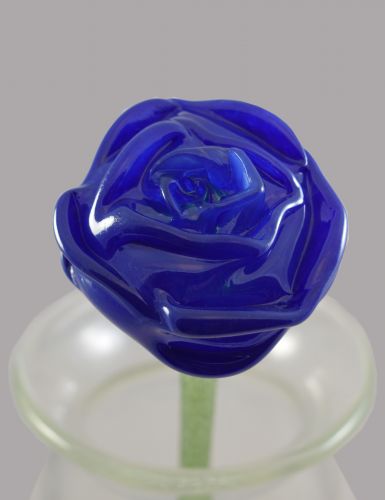 FC2010 - Cobalt Rose