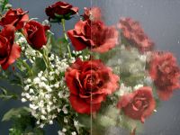 Ayrıntı için tıklayınız