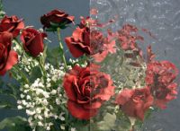 Нажмите для увеличения