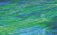 W1116-Blue/Green Wispy #0197