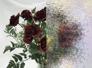 W1170-Iridized Clear Florentine