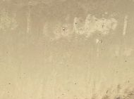 W1207-Amber Tint Seedy Trans.#0001S