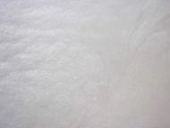 Y1000SP-Ice White